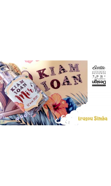 Trusou de botez cu micul pui de leu Simba din celebrul desen animat Baby Simba 3
